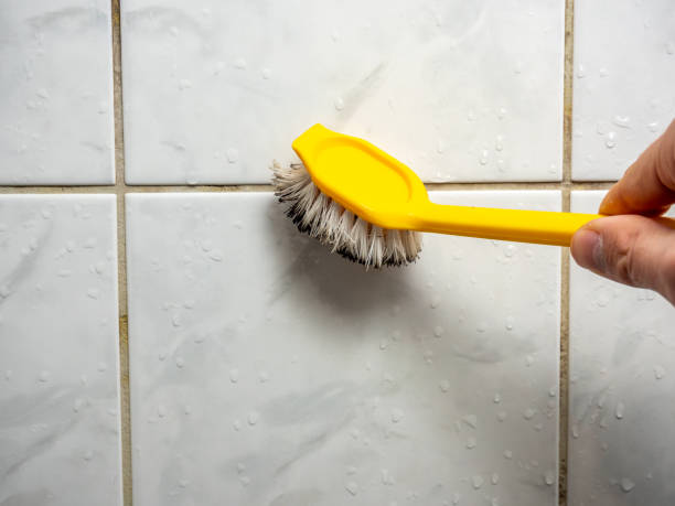 Best Certified Mold Removal  in Roxboro, NC