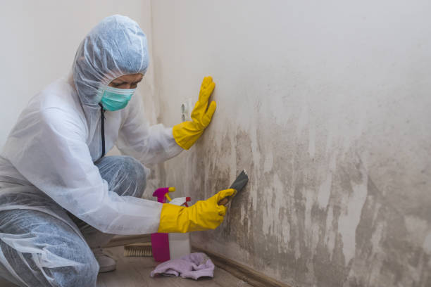 Water Damage Restoration in Roxboro, NC