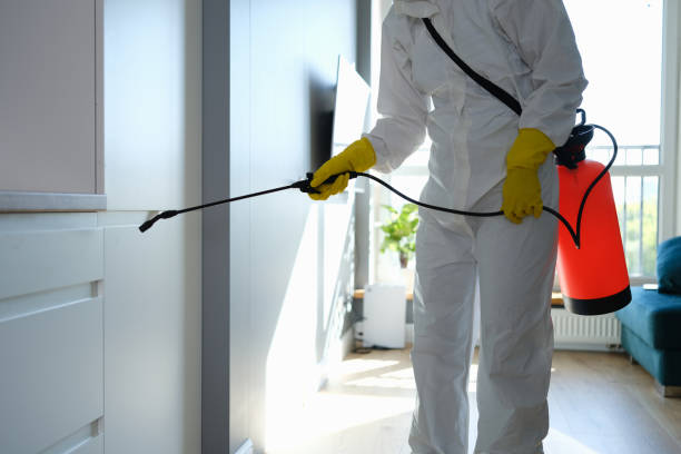 Best Office Mold Removal Services  in Roxboro, NC