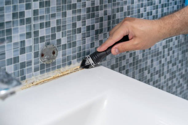 Best Fast Mold Removal  in Roxboro, NC