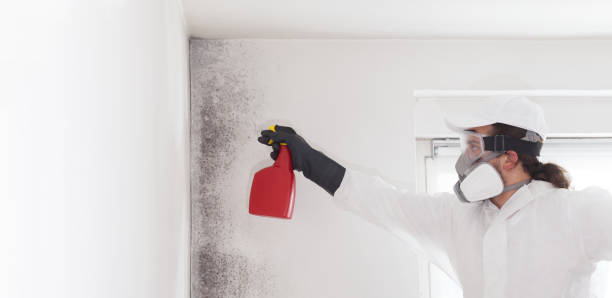 Best Mold Testing  in Roxboro, NC
