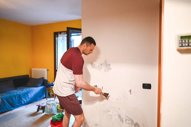 Best Crawl Space Mold Removal  in Roxboro, NC